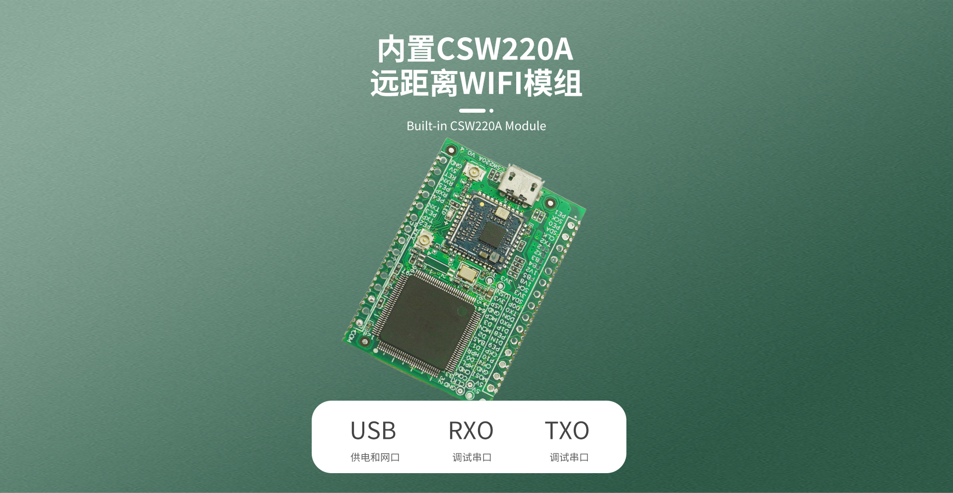 CSW220A評估板_03.jpg
